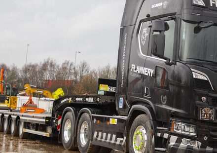 Fors Gold for Flannery