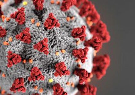 Covid 19 Statement From Flannery Plant Hire