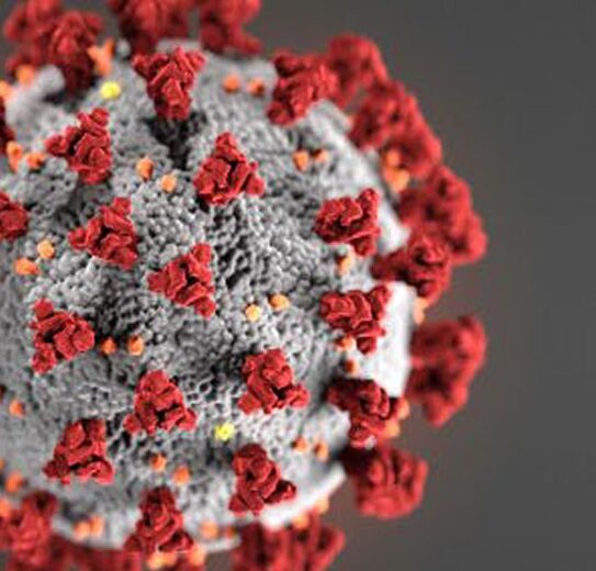 covid19
